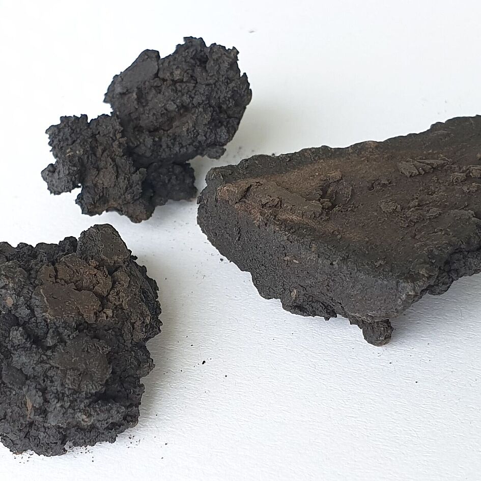 Coal from biomass using hydrothermal carbonization (HTC)