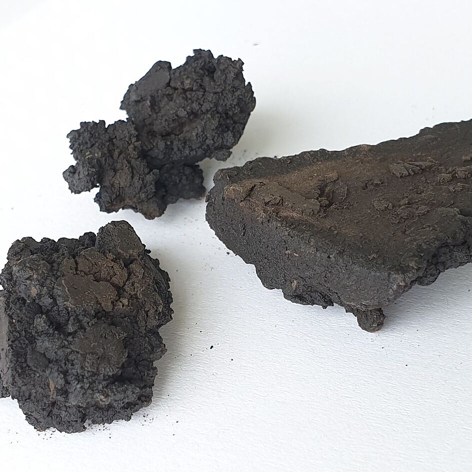 Coal from biomass using hydrothermal carbonization (HTC)