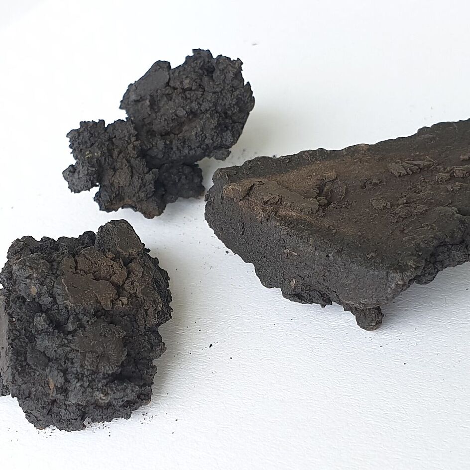 Coal from biomass using hydrothermal carbonization (HTC) Coal from biomass using hydrothermal carbonization (HTC)