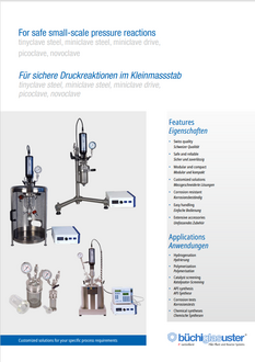 Small scale reactors with interchangeable pressure vessels