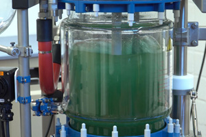 Filter reactors - Buchi FR 10, FR 30 & FR 50