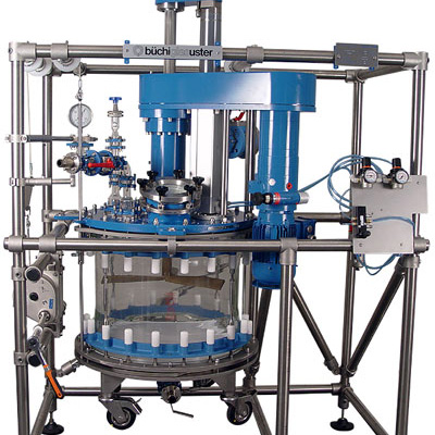 Stirred nutsche filter for solid phase peptide synthesis