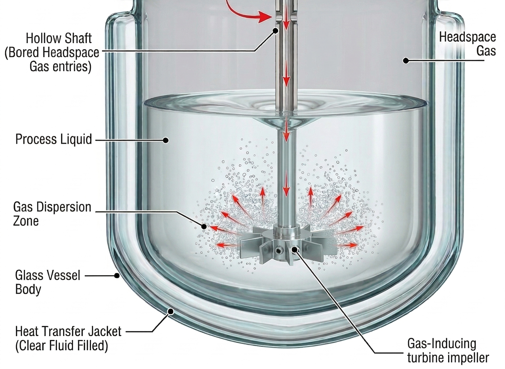 Gassing stirrer (Rushton turbine design): Utilizes a hollow shaft for continuous gas entrainment from the gas headspace, ensuring optimal hydrogen dispersion.